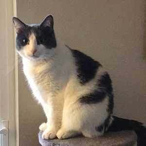 Meet your Posher, Cynthia